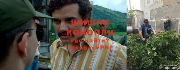 крисы Инсар