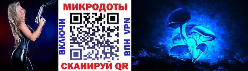 Псилоцибиновые грибы прущие грибы  Верея 